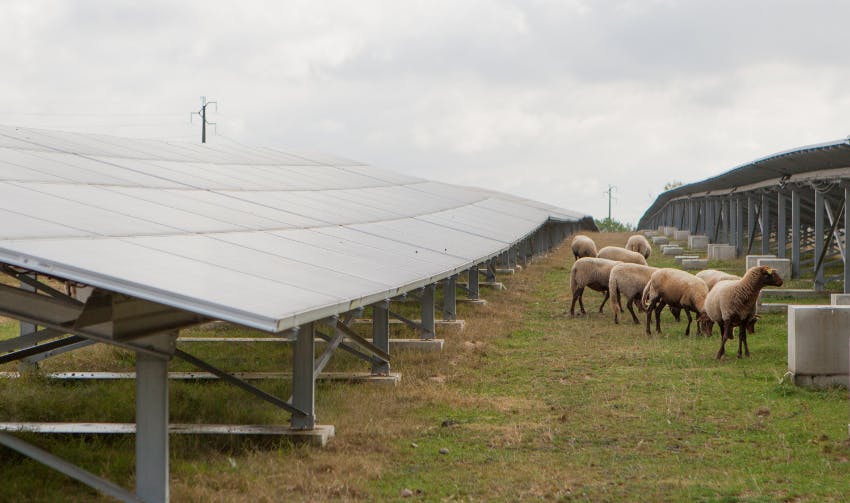 découvrez comment la synergie photovoltaïque révolutionne la production d'énergie solaire en optimisant l'efficacité, réduisant les coûts et favorisant un développement durable. explorez les avantages et les innovations de cette technologie au service de l'environnement.
