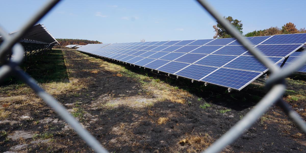 le projet du parc solaire près de thouars reçoit le feu vert, favorisant une production d'énergie renouvelable durable et locale.