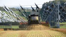 découvrez comment une friche polluée à saint-cyprien a été transformée en un parc solaire innovant, alliant écologie et énergie renouvelable pour un avenir durable.