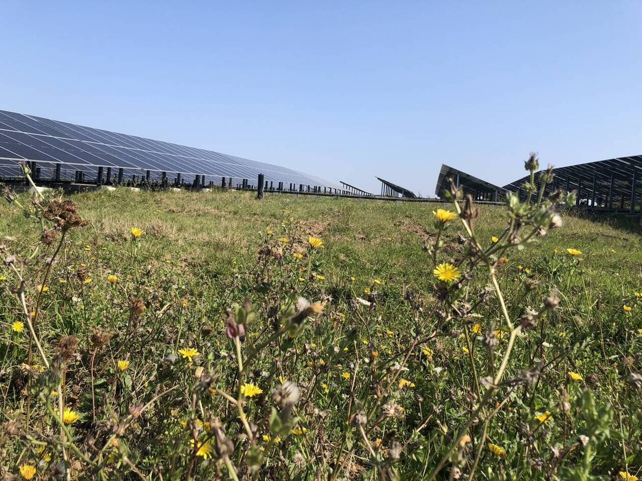 découvrez la centrale solaire près d’argentan prévue pour 2027, un projet innovant visant à produire une énergie propre et durable dans la région.