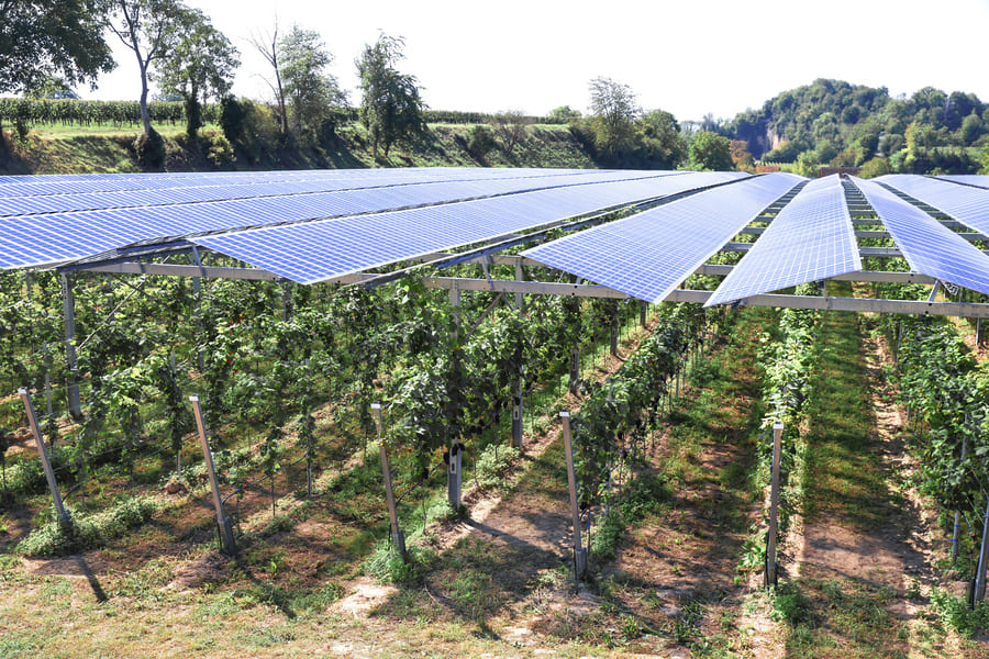 découvrez comment la coopérative pluri'el investit dans les ombrières solaires pour promouvoir une énergie durable et innovante.