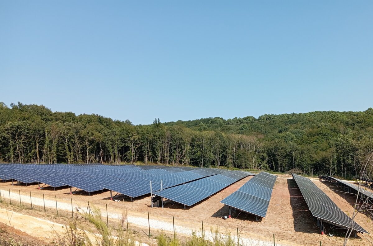 découvrez comment suturex et renodex ont installé 1 000 panneaux solaires en dordogne, contribuant à une énergie renouvelable et durable dans la région.