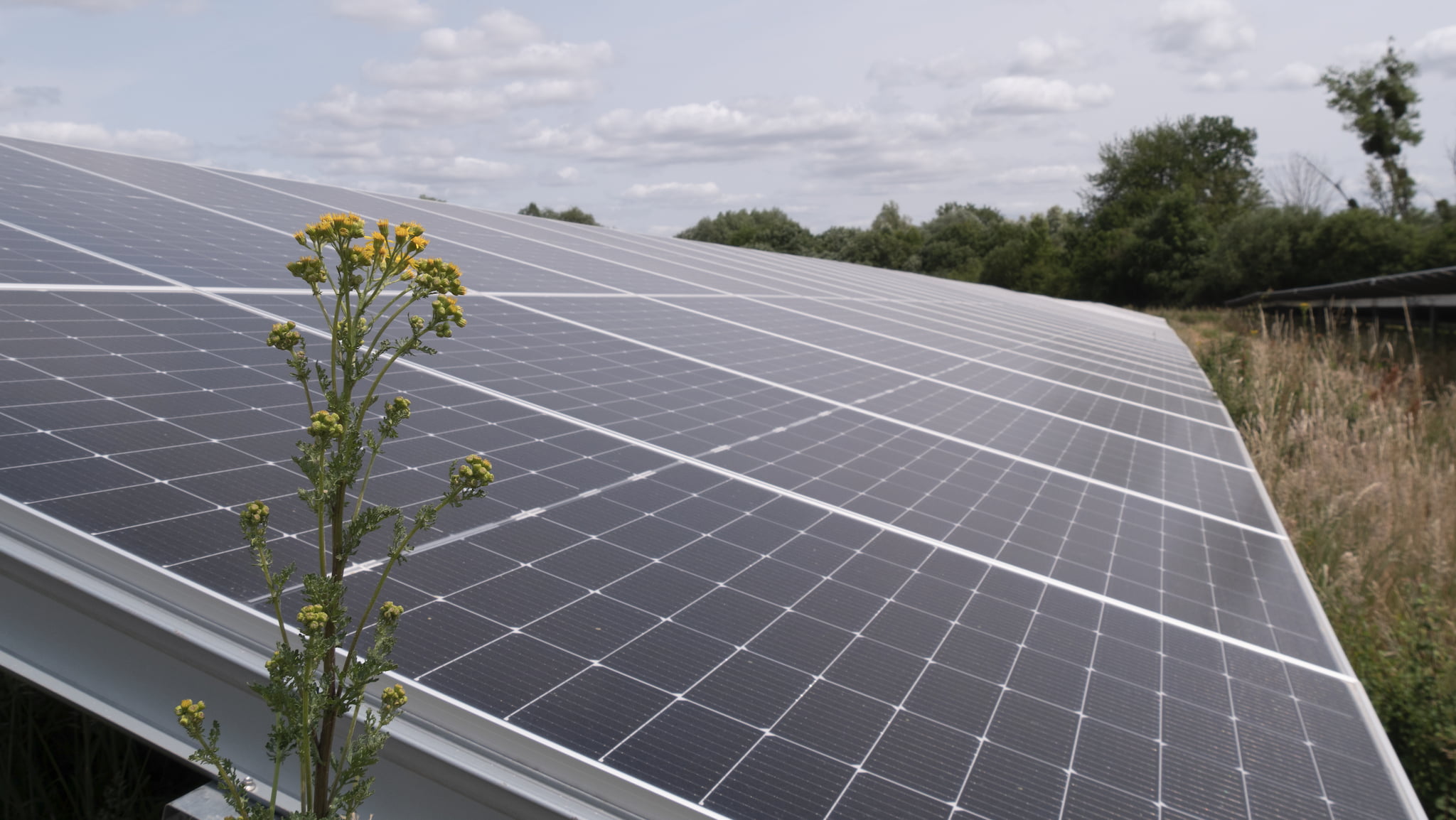 découvrez le projet photovoltaïque de gauchy pour 2030, une initiative durable visant à développer l'énergie solaire propre et renouvelable dans la région.