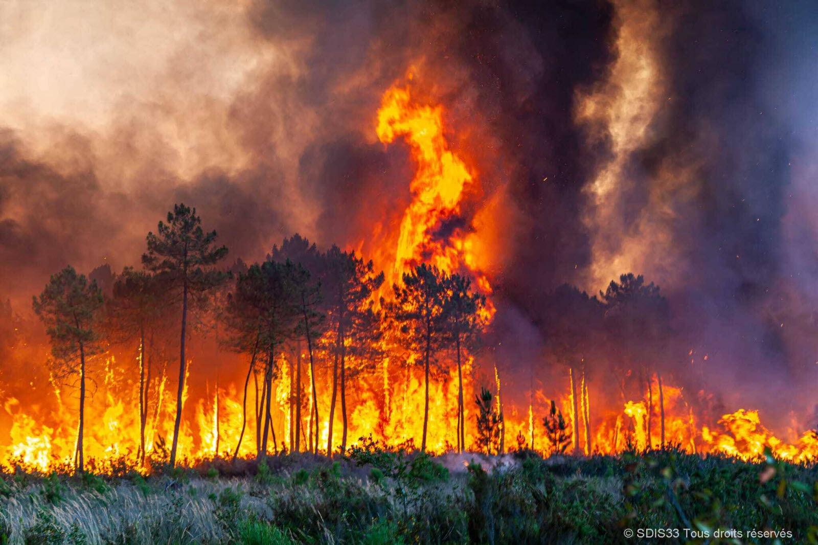 incendie nocturne spectaculaire d'un entrepôt de panneaux solaires en gironde : découvrez les circonstances, les interventions des pompiers et l'impact environnemental de cet incident.
