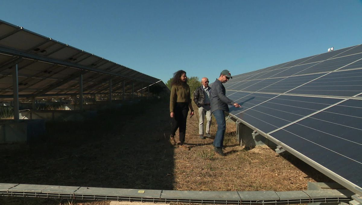 découvrez le projet innovant de centrale solaire à nîmes, une initiative durable pour produire une énergie propre et respectueuse de l'environnement.