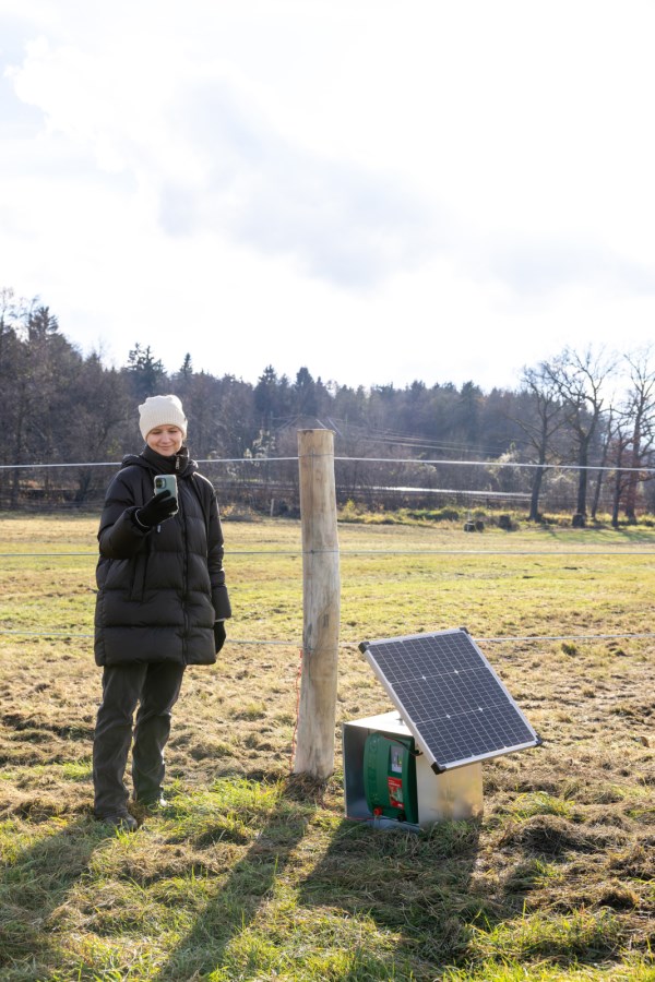 découvrez nos panneaux solaires performants à loctudy, solutions écologiques pour une énergie renouvelable et économique près de la criée.