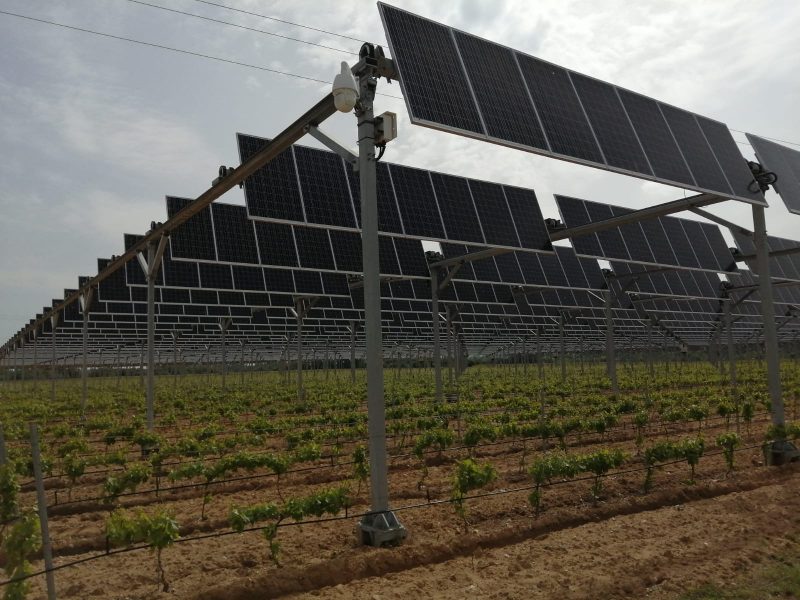 découvrez pourquoi l'installation de panneaux solaires est refusée dans les vignobles aoc et les enjeux liés à la préservation de ces terroirs d'exception.