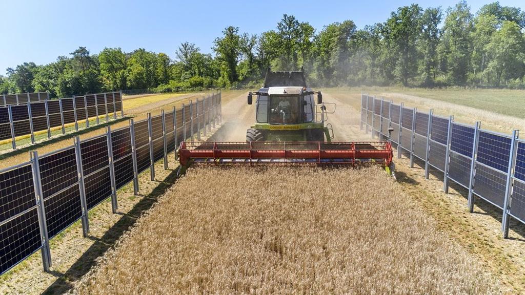 découvrez notre projet solaire agricole divisé, une solution innovante pour produire de l'énergie renouvelable tout en optimisant l'utilisation des terres agricoles.