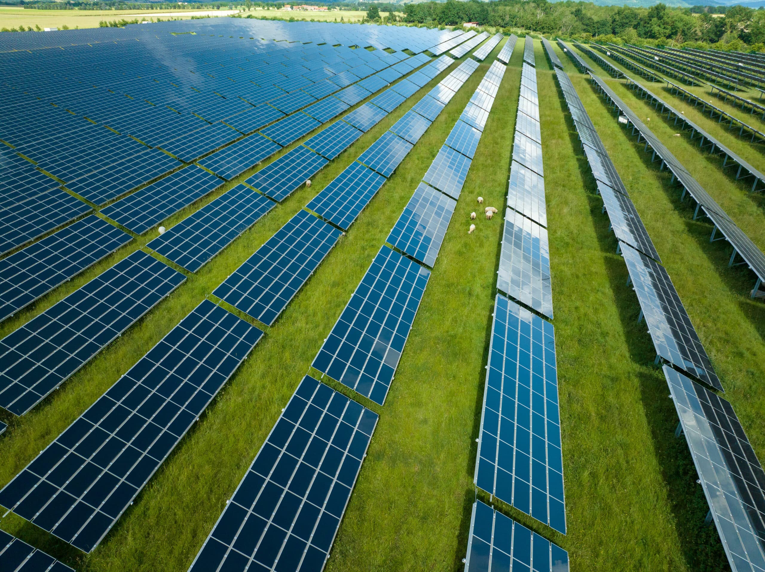 découvrez notre projet solaire agricole divisé, une solution innovante pour optimiser la production d'énergie renouvelable tout en valorisant les terres agricoles.