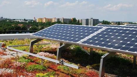 découvrez comment décathlon intègre les panneaux solaires et la végétalisation pour rendre ses parkings plus écologiques et durables.