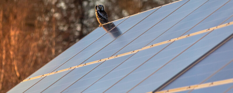découvrez comment les panneaux solaires représentent la clé de l'énergie durable en 2026, offrant une solution écologique et économique pour un avenir énergétique responsable.