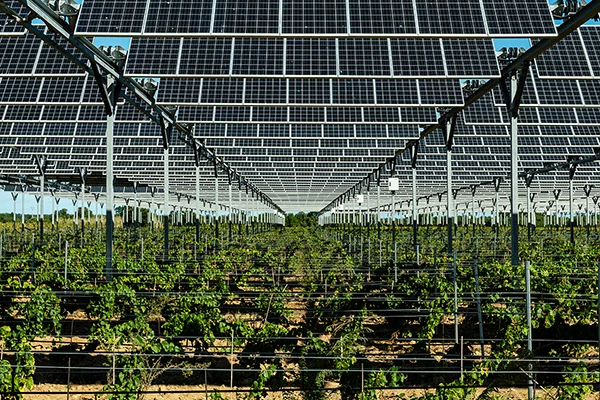 participez à la réunion publique à heugon pour découvrir et discuter du projet innovant d'agrivoltaïsme alliant agriculture et énergie solaire.