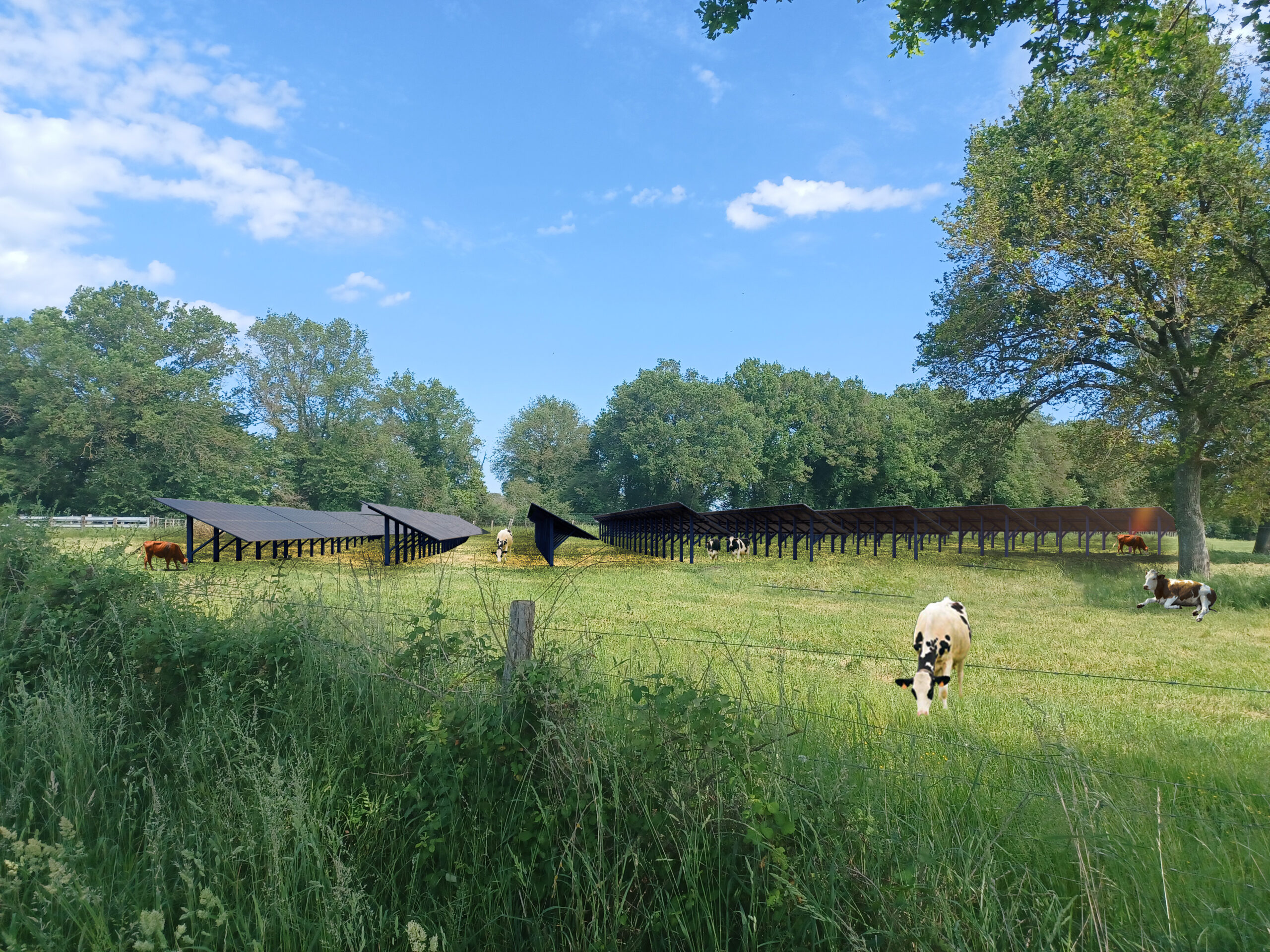 saint-coutant rejette le projet agrivoltaïque comprenant 46 275 panneaux solaires, suscitant débats et réactions locales.
