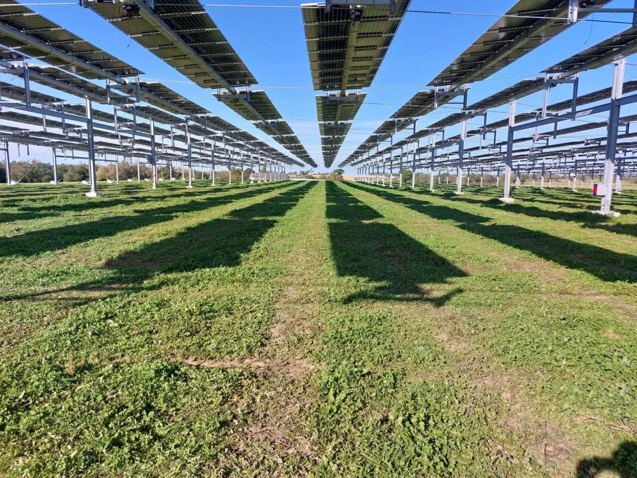 saint-coutant rejette le projet agrivoltaïque comprenant 46 275 panneaux, marquant une opposition locale à cette initiative énergétique.